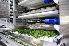 全从动揉捻机的机械臂模仿人工揉捻的频次波动