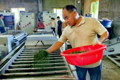 项目扶植实按照方案要求